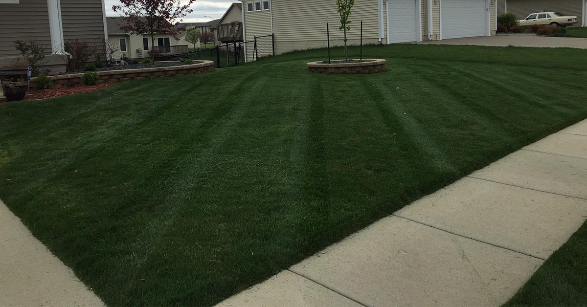 Need Lawn Fertilization Services? We Can Help! Ultimate Lawn Services